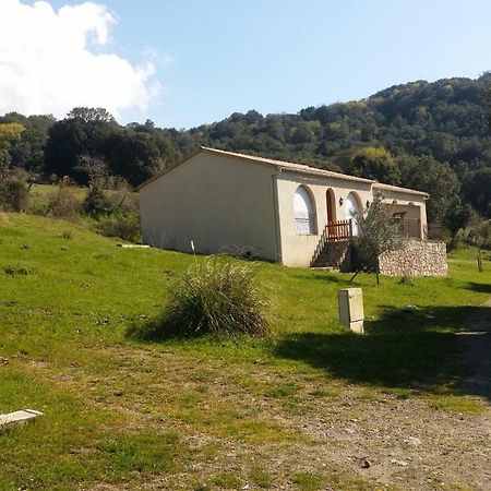 Courtaline Villa Pietralba Luaran gambar